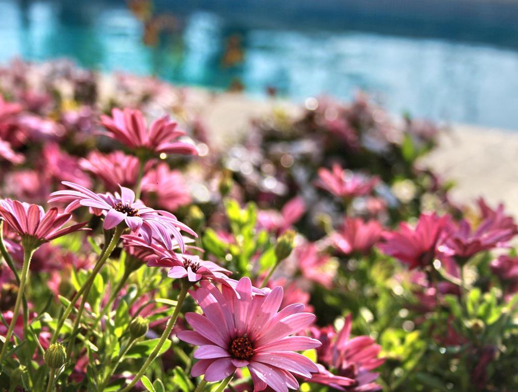 Villa Paradise Paphos Ruang foto