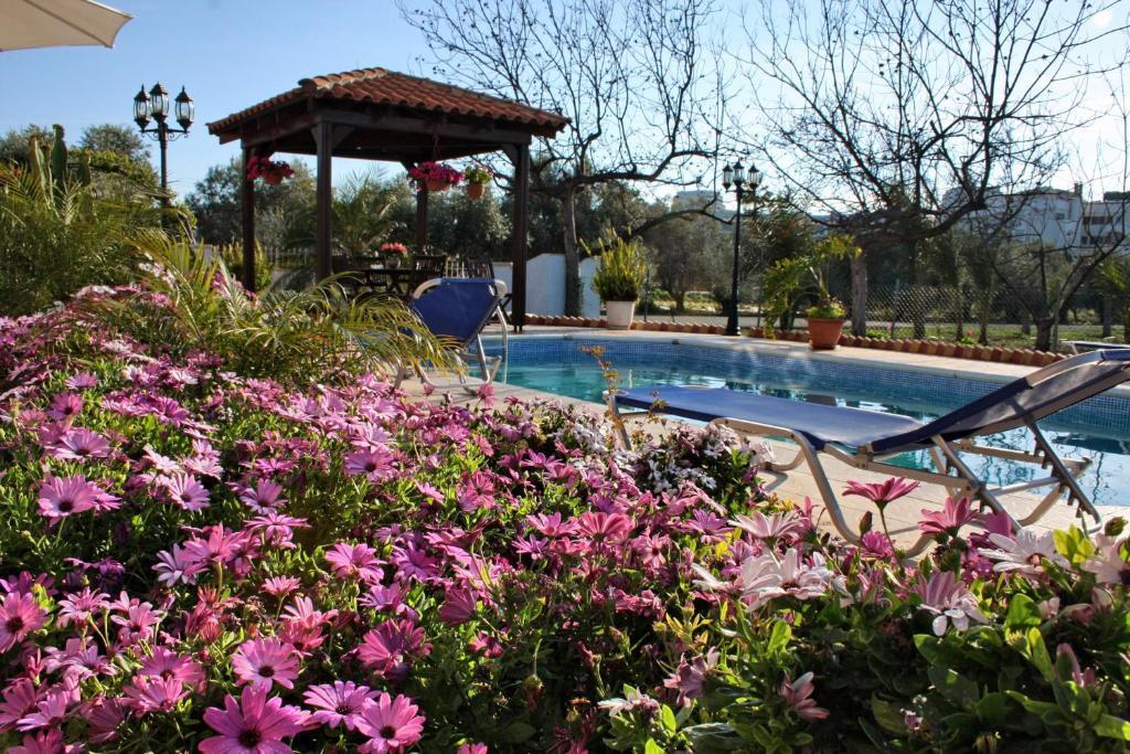 Villa Paradise Paphos Ruang foto